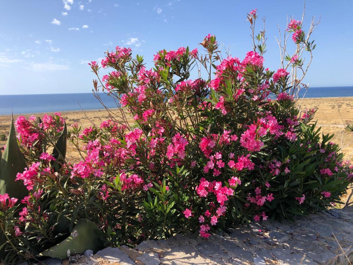 סן ויטו לו קאפו Casetta Calamancina מראה חיצוני תמונה